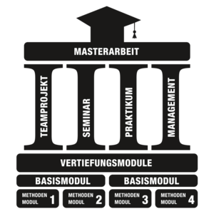 Aufbau des Studiums Aufbau des MasterOnline-Studiengangs Intelligente Eingebettete Mikrosysteme