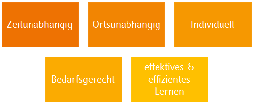 Grafik Blended Learning Vorteile: Zeitunabhängig, Ortsunabhängig, Individuell, Bedarfsgerecht, effektives & effizientes Lernen